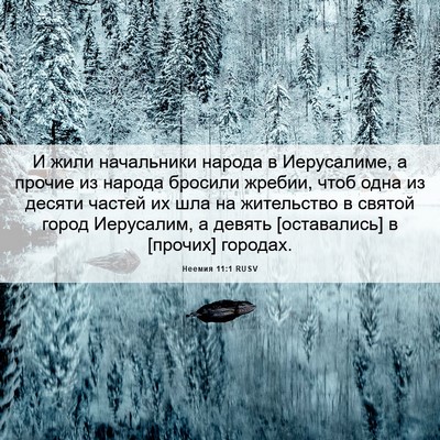 Picture 06 - Неемия 11:1 RUSV - И жили начальники народа в - Bible Verse Picture