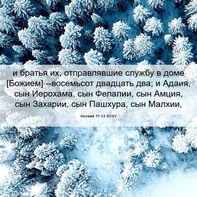 Picture 06 - Неемия 11:12 RUSV - и братья их, отправлявшие - Bible Verse Picture