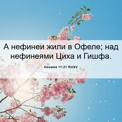 Picture 06 - Неемия 11:21 RUSV - А нефинеи жили в Офеле; над - Bible Verse Picture