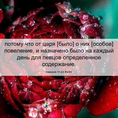 Picture 06 - Неемия 11:23 RUSV - потому что от царя [было] о - Bible Verse Picture