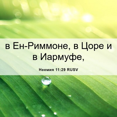 Picture 06 - Неемия 11:29 RUSV - в Ен-Риммоне, в Цоре и в - Bible Verse Picture