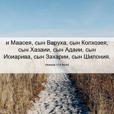Picture 06 - Неемия 11:5 RUSV - и Маасея, сын Варуха, сын - Bible Verse Picture