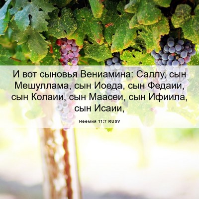 Picture 06 - Неемия 11:7 RUSV - И вот сыновья Вениамина: - Bible Verse Picture