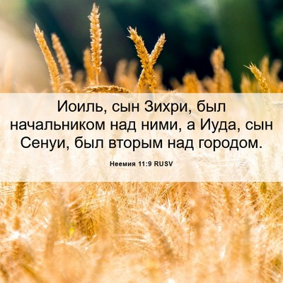 Picture 06 - Неемия 11:9 RUSV - Иоиль, сын Зихри, был - Bible Verse Picture