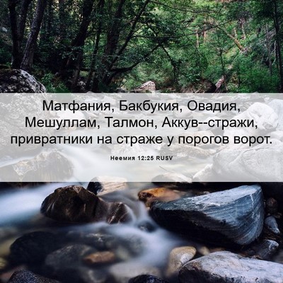 Picture 06 - Неемия 12:25 RUSV - Матфания, Бакбукия, Овадия, - Bible Verse Picture