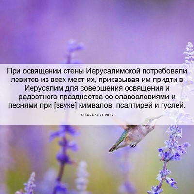 Picture 06 - Неемия 12:27 RUSV - При освящении стены - Bible Verse Picture
