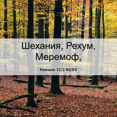 Picture 06 - Неемия 12:3 RUSV - Шехания, Рехум, - Bible Verse Picture