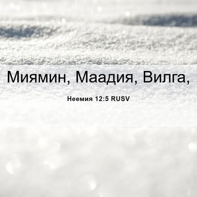 Picture 06 - Неемия 12:5 RUSV - Миямин, Маадия, - Bible Verse Picture
