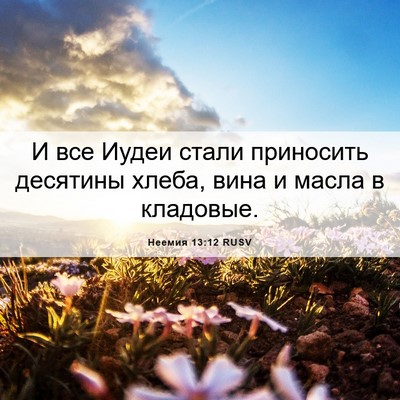 Picture 06 - Неемия 13:12 RUSV - И все Иудеи стали - Bible Verse Picture