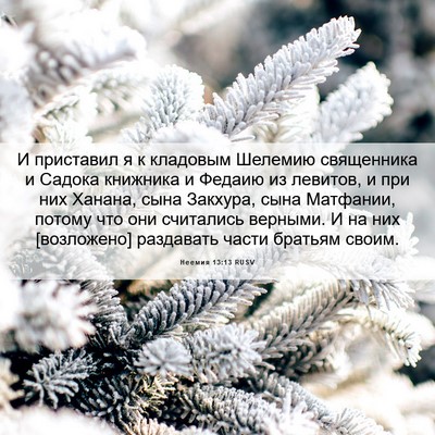 Picture 06 - Неемия 13:13 RUSV - И приставил я к кладовым - Bible Verse Picture