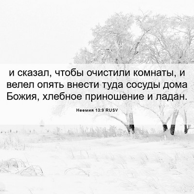 Picture 06 - Неемия 13:9 RUSV - и сказал, чтобы очистили - Bible Verse Picture