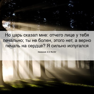 Picture 06 - Неемия 2:2 RUSV - Но царь сказал мне: отчего - Bible Verse Picture