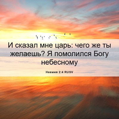 Picture 06 - Неемия 2:4 RUSV - И сказал мне царь: чего же - Bible Verse Picture