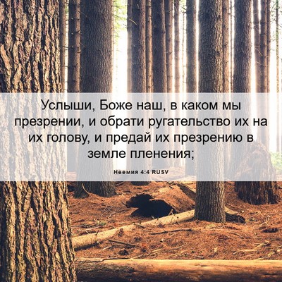 Picture 06 - Неемия 4:4 RUSV - Услыши, Боже наш, в каком мы - Bible Verse Picture