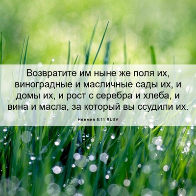 Picture 06 - Неемия 5:11 RUSV - Возвратите им ныне же поля - Bible Verse Picture