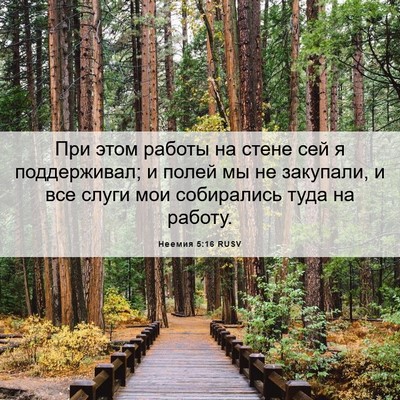 Picture 06 - Неемия 5:16 RUSV - При этом работы на стене - Bible Verse Picture