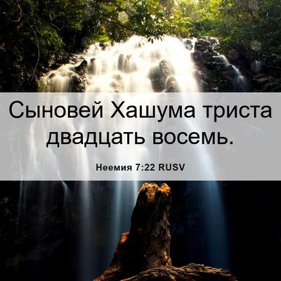 Picture 06 - Неемия 7:22 RUSV - Сыновей Хашума триста - Bible Verse Picture