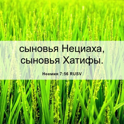 Picture 06 - Неемия 7:56 RUSV - сыновья Нециаха, сыновья - Bible Verse Picture