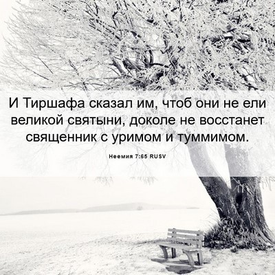 Picture 06 - Неемия 7:65 RUSV - И Тиршафа сказал им, чтоб - Bible Verse Picture