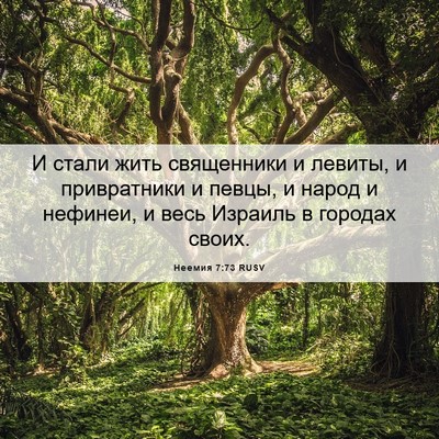 Picture 06 - Неемия 7:73 RUSV - И стали жить священники и - Bible Verse Picture