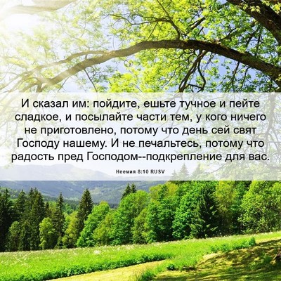 Picture 06 - Неемия 8:10 RUSV - И сказал им: пойдите, ешьте - Bible Verse Picture