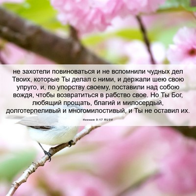 Picture 06 - Неемия 9:17 RUSV - не захотели повиноваться и - Bible Verse Picture