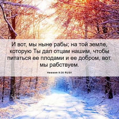 Picture 06 - Неемия 9:36 RUSV - И вот, мы ныне рабы; на той - Bible Verse Picture