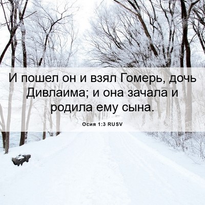 Picture 06 - Осия 1:3 RUSV - И пошел он и взял Гомерь, - Bible Verse Picture