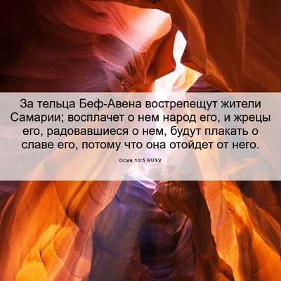 Picture 06 - Осия 10:5 RUSV - За тельца Беф-Авена - Bible Verse Picture