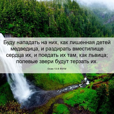 Picture 06 - Осия 13:8 RUSV - Буду нападать на них, как - Bible Verse Picture