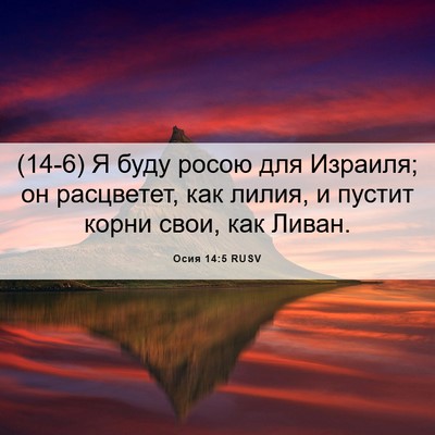 Picture 06 - Осия 14:5 RUSV - (14-6) Я буду росою для - Bible Verse Picture