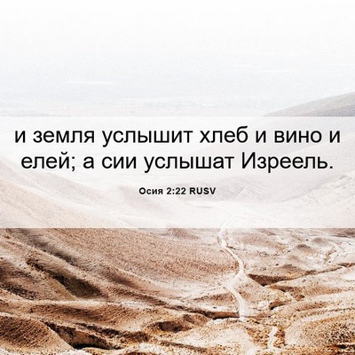 Picture 06 - Осия 2:22 RUSV - и земля услышит хлеб и вино - Bible Verse Picture