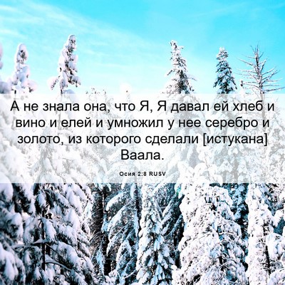 Picture 06 - Осия 2:8 RUSV - А не знала она, что Я, Я - Bible Verse Picture