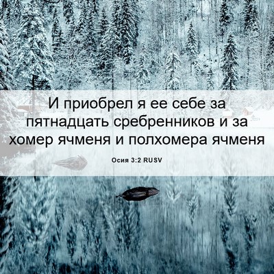 Picture 06 - Осия 3:2 RUSV - И приобрел я ее себе за - Bible Verse Picture
