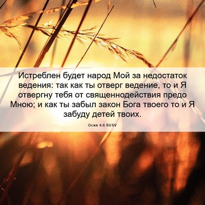 Picture 06 - Осия 4:6 RUSV - Истреблен будет народ Мой - Bible Verse Picture