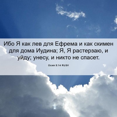 Picture 06 - Осия 5:14 RUSV - Ибо Я как лев для Ефрема и - Bible Verse Picture