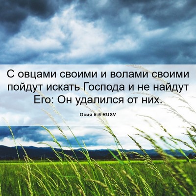 Picture 06 - Осия 5:6 RUSV - С овцами своими и волами - Bible Verse Picture