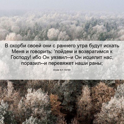 Picture 06 - Осия 6:1 RUSV - В скорби своей они с - Bible Verse Picture