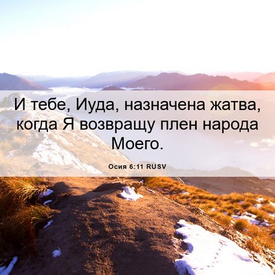 Picture 06 - Осия 6:11 RUSV - И тебе, Иуда, назначена - Bible Verse Picture