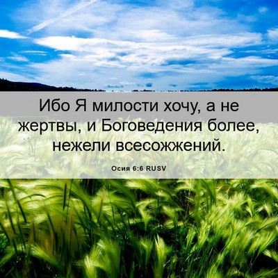 Picture 06 - Осия 6:6 RUSV - Ибо Я милости хочу, а не - Bible Verse Picture