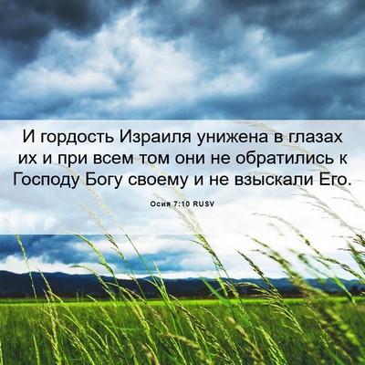 Picture 06 - Осия 7:10 RUSV - И гордость Израиля унижена - Bible Verse Picture