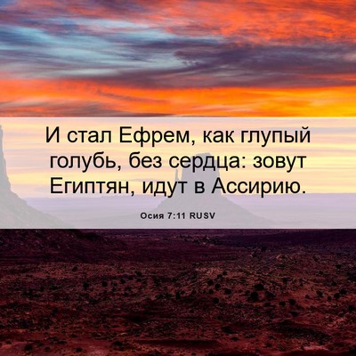 Picture 06 - Осия 7:11 RUSV - И стал Ефрем, как глупый - Bible Verse Picture