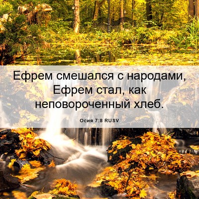 Picture 06 - Осия 7:8 RUSV - Ефрем смешался с народами, - Bible Verse Picture