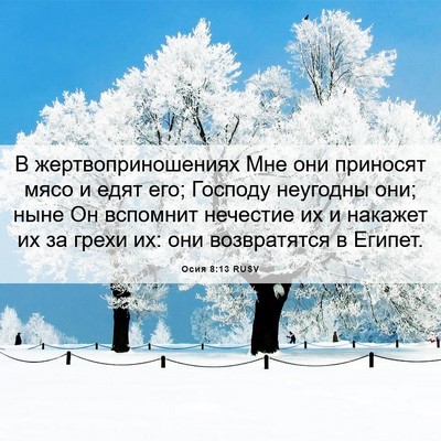 Picture 06 - Осия 8:13 RUSV - В жертвоприношениях Мне - Bible Verse Picture
