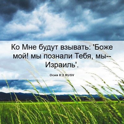 Picture 06 - Осия 8:2 RUSV - Ко Мне будут взывать: 'Боже - Bible Verse Picture