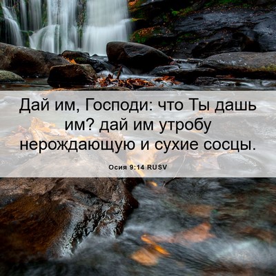Picture 06 - Осия 9:14 RUSV - Дай им, Господи: что Ты дашь - Bible Verse Picture