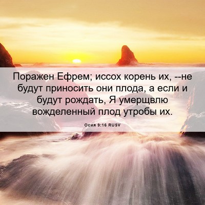 Picture 06 - Осия 9:16 RUSV - Поражен Ефрем; иссох - Bible Verse Picture
