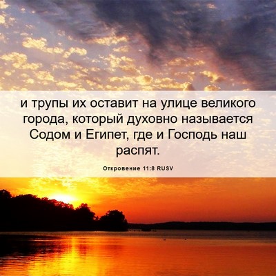 Picture 06 - Откровение 11:8 RUSV - и трупы их оставит на улице - Bible Verse Picture