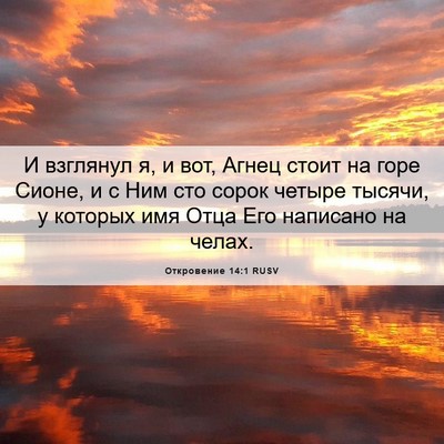 Picture 06 - Откровение 14:1 RUSV - И взглянул я, и вот, Агнец - Bible Verse Picture