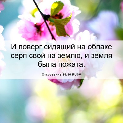 Picture 06 - Откровение 14:16 RUSV - И поверг сидящий на облаке - Bible Verse Picture